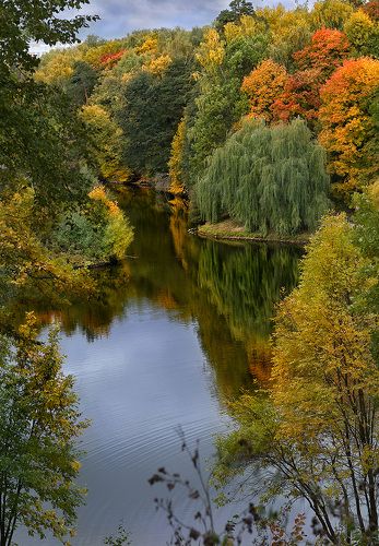 Осенний пруд в парке