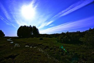 Бектаушамбареализм