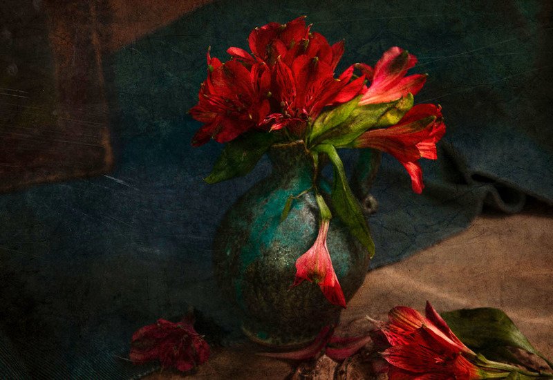 цветы, красные, кувшин, драпировка, синий, ваза, стол, лепестки Красные цветыphoto preview