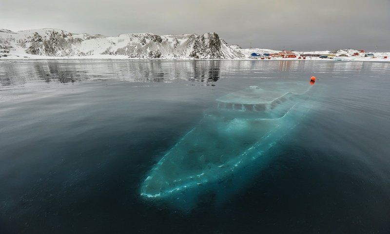 антарктика, king georg island, бухта ардли, яхта \\ Затонувшая яхта в Антарктике...photo preview
