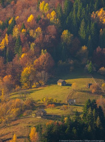 Village Houses and autumn foliage trees in the mountains. Meadow and forest in the carpathian mountains
