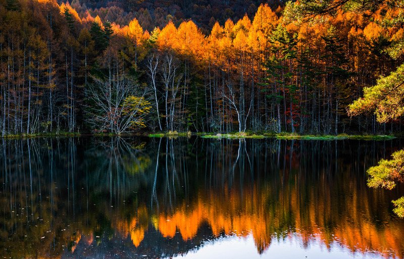 nature landscape japan mountain morning nagano autumn colors [ A Mirror in Nature ]photo preview