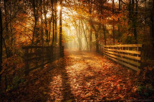 Entrance to the autumn paradise