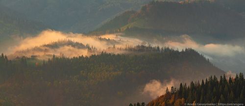 Misty Mountains. Fog over forests and hills in Carpathian Mountains, Ukraine