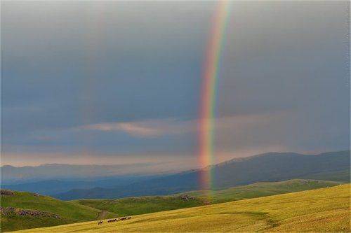 Табан-Карагай (плато между Жанешке и Чиликом), июнь 2012, № 1