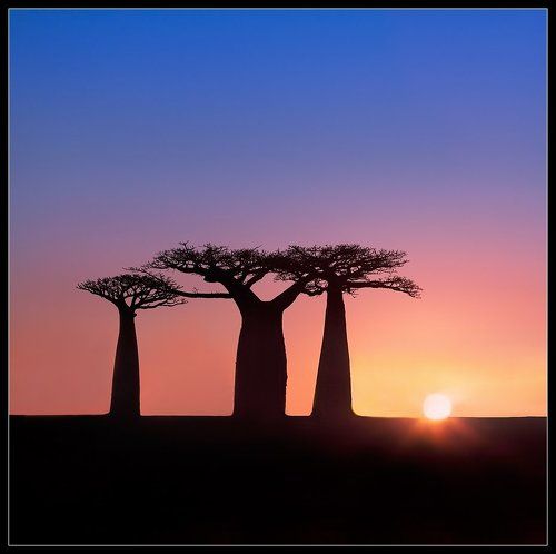 Африканские Восходы (2)