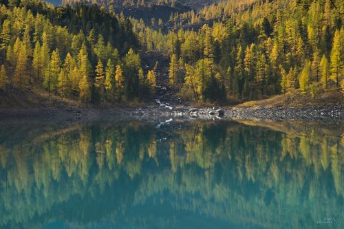 Зеркальный мир Шавлинского озера