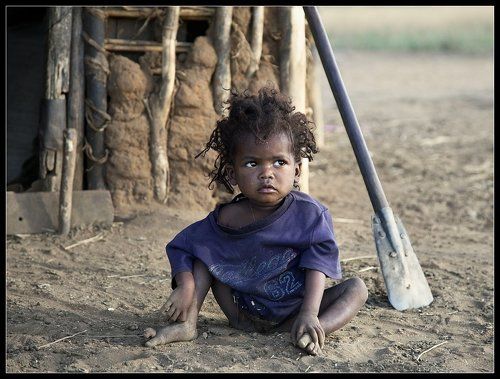 Дети Мадагаскара (3)