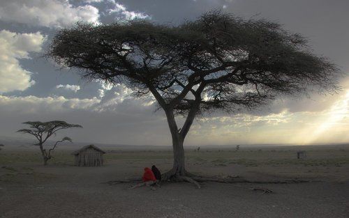 вечер у масайской деревни