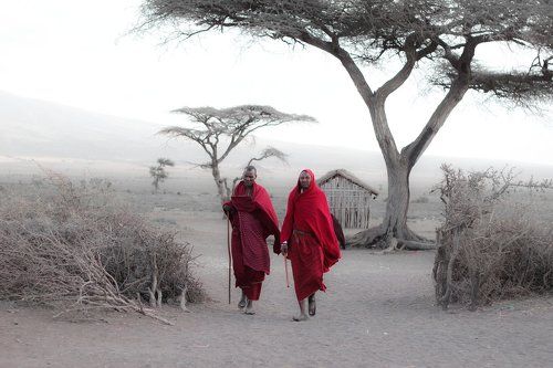 возвращение в деревню(масаев в масайскую)