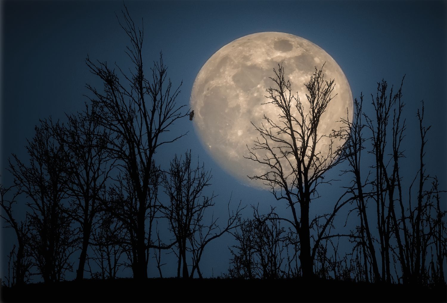 Лунная Соната. Ночь Луна. Полночь Луна. Зимний ночной пейзаж. Слушать песни лунная ночь