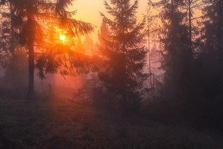 Карпаты.Пилипец.