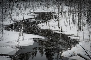 Кольский узоры...