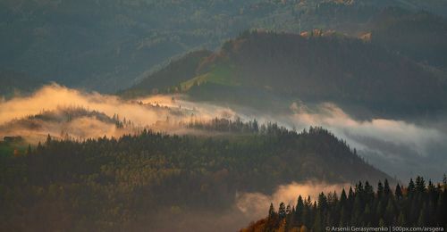 Misty Mountains Fog over forests and hills in Carpathian Mountains, Ukraine
