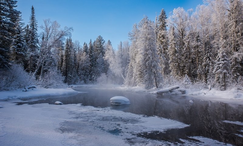 Зимняя Сибирская Тайга