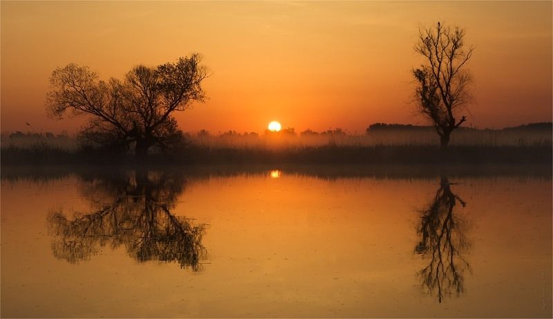 солнце, утро, рассвет, река Оранжевое утроphoto preview