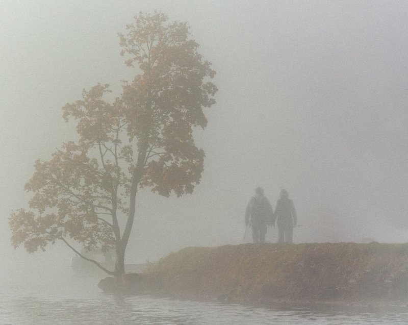 Walk in the fog.photo preview