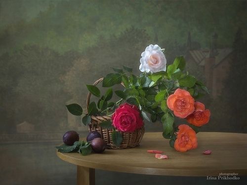 Натюрморт с садовыми розами и сливами