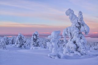 Февраль не за горами...