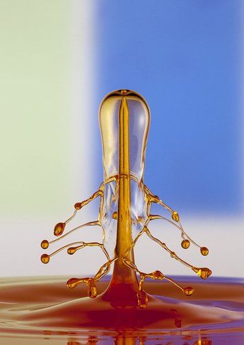 liquid art (jellyfish)