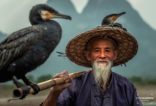 Мастер Чен и его птицы