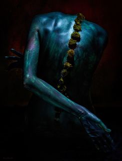 Symbiosis II