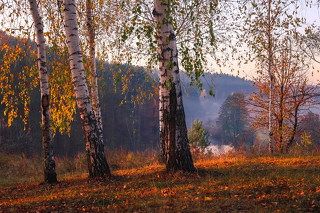 Нарисуй художник осень