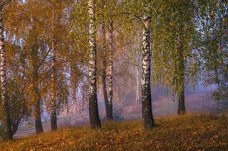 Осень.Утро.