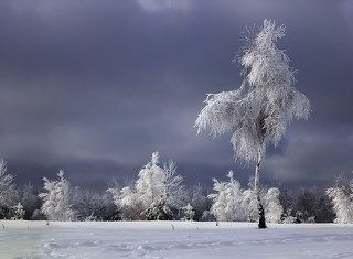 Снегурочка