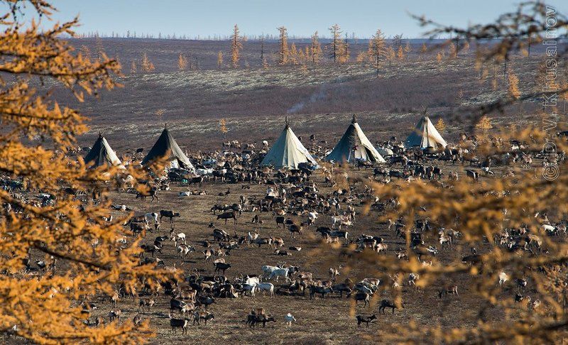 Ландшафт крайнего севера