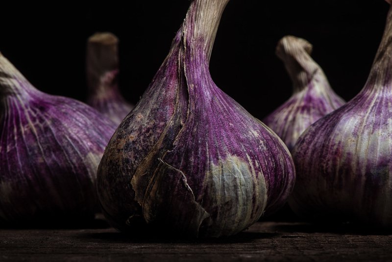 purple; garlic; ail; violet; gastronomie, food, vegetable, legume, color, dark, old, vieux, vintage; PURPLE GARLICphoto preview