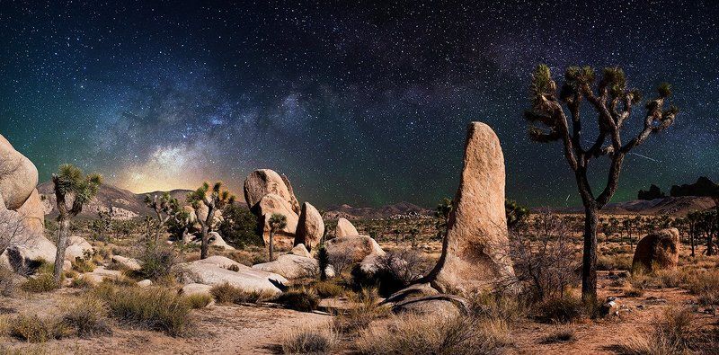 joshua, tree, milky, way, stars, long, exposure We\'re all under the same sky...photo preview