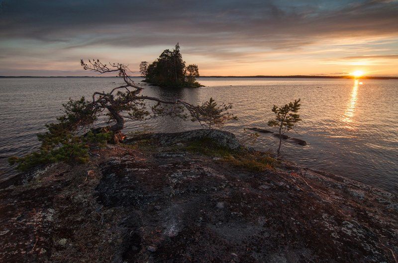 карелия, остров, сосна, закат, озеро На семи ветрахphoto preview