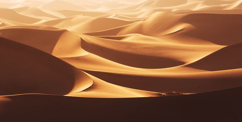 death, valley, dunes, usa, sunrise Yellow wave #2photo preview
