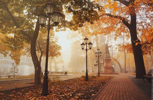 Воронеж в тумане