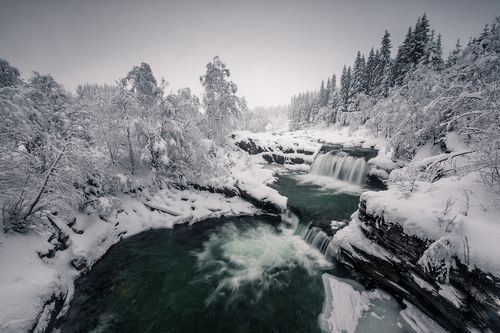Norwegian winter