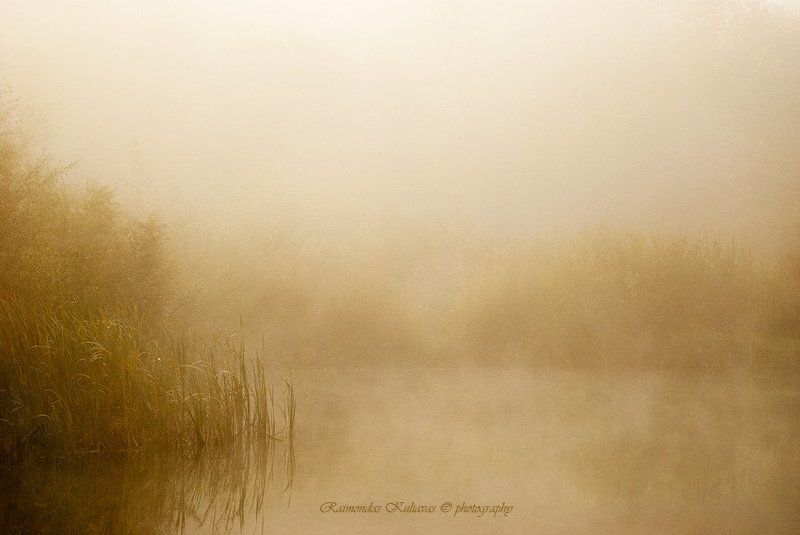 fog, mist far far-flung fog sheetphoto preview