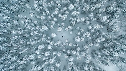 Снежный лес в Республике Коми