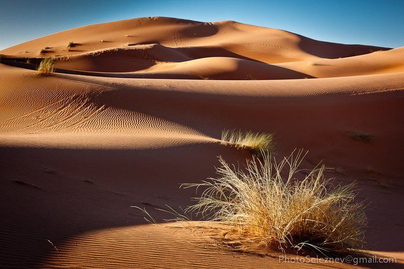 travel, desert, morocco, dune, sand Эрг Шеббиphoto preview