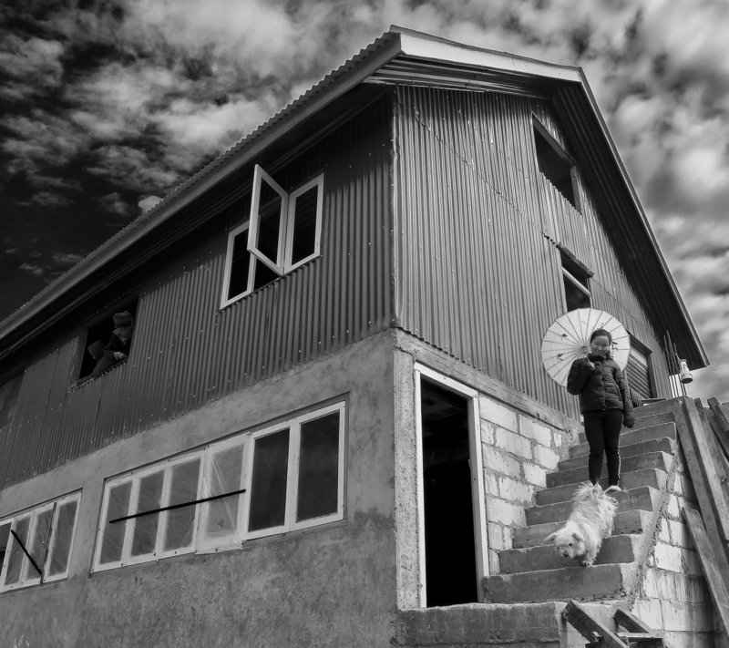 #black&white #lady #dog #stair #house #sky #mountain_lady #umbrella Lady with her petphoto preview