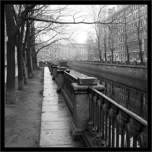 Черно-белая квадратная питерская картинка с канала Грибоедова про знакомую атмосферу города и ветку, которая завершила композицию