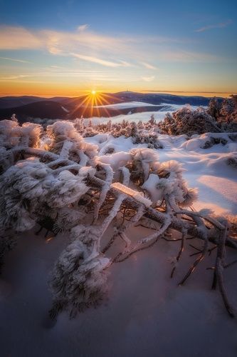 Frosty Morning in Jeseniky Mountains