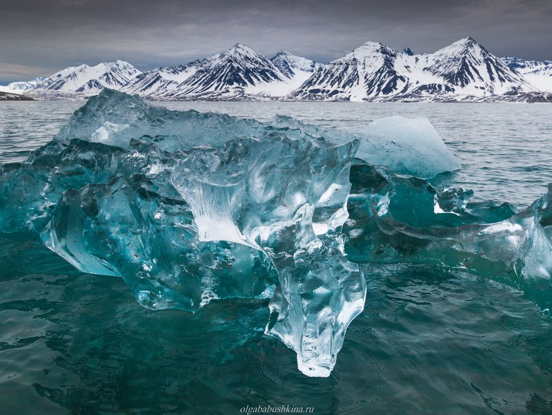 шпицберген, свальбард, арктика, arctic, svalbard, ice, iceberg Ледяная рапсодияphoto preview