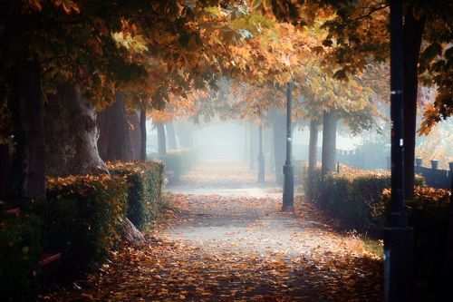 Autumn walk....
