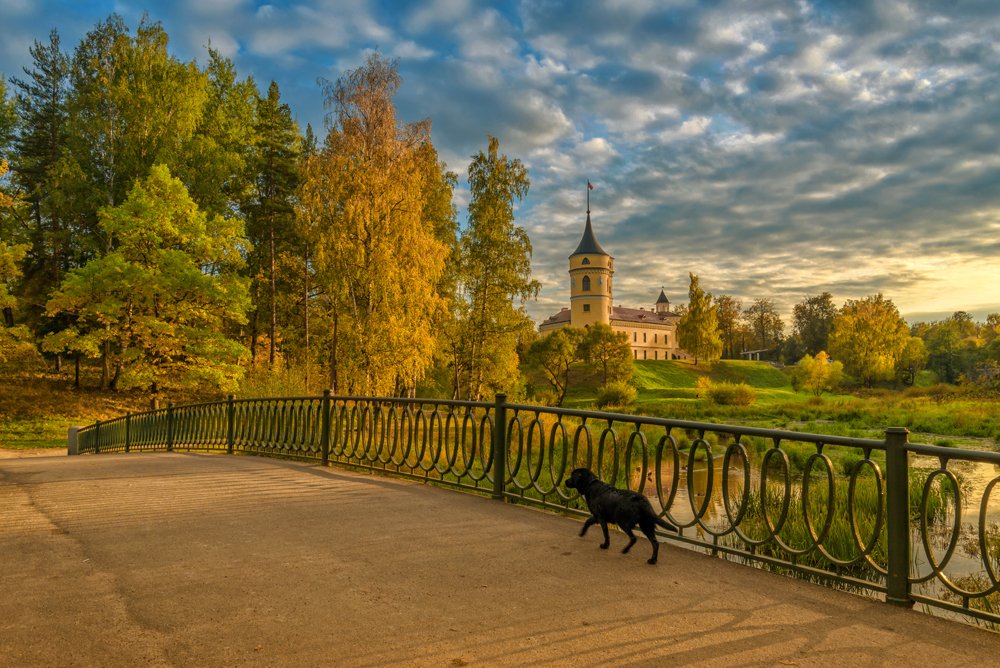 Павлов парк