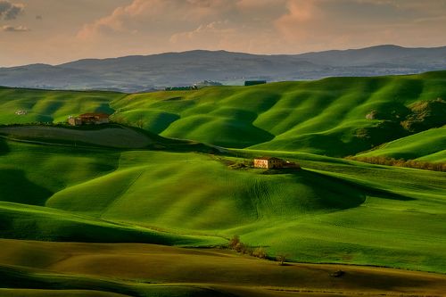 Tuscany fields