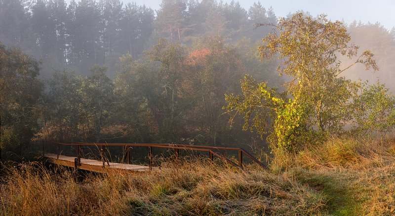 мостик природа туман утро Про мостикphoto preview