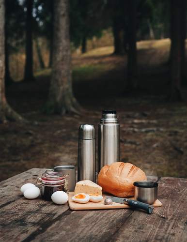 Завтрак в Зеленоградском лесу
