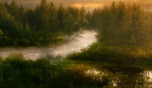 Вечерний туман ползет по реке