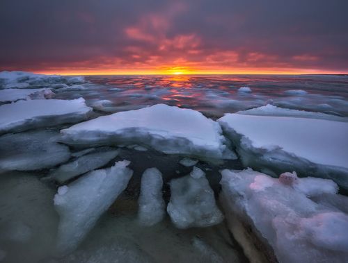 Краски Белого моря.
